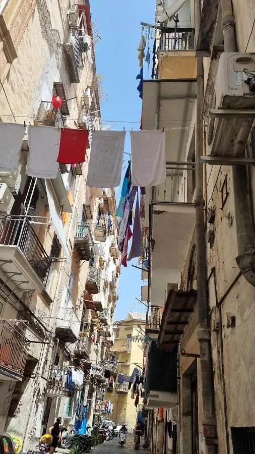 The Lucky House City Center Naples
